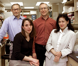 Authors of the study, from left to right: Eugene Demidenko, Angeline Andrew, Joshua Hamilton, Margaret Karagas (Photo by Joseph Mehling '69)